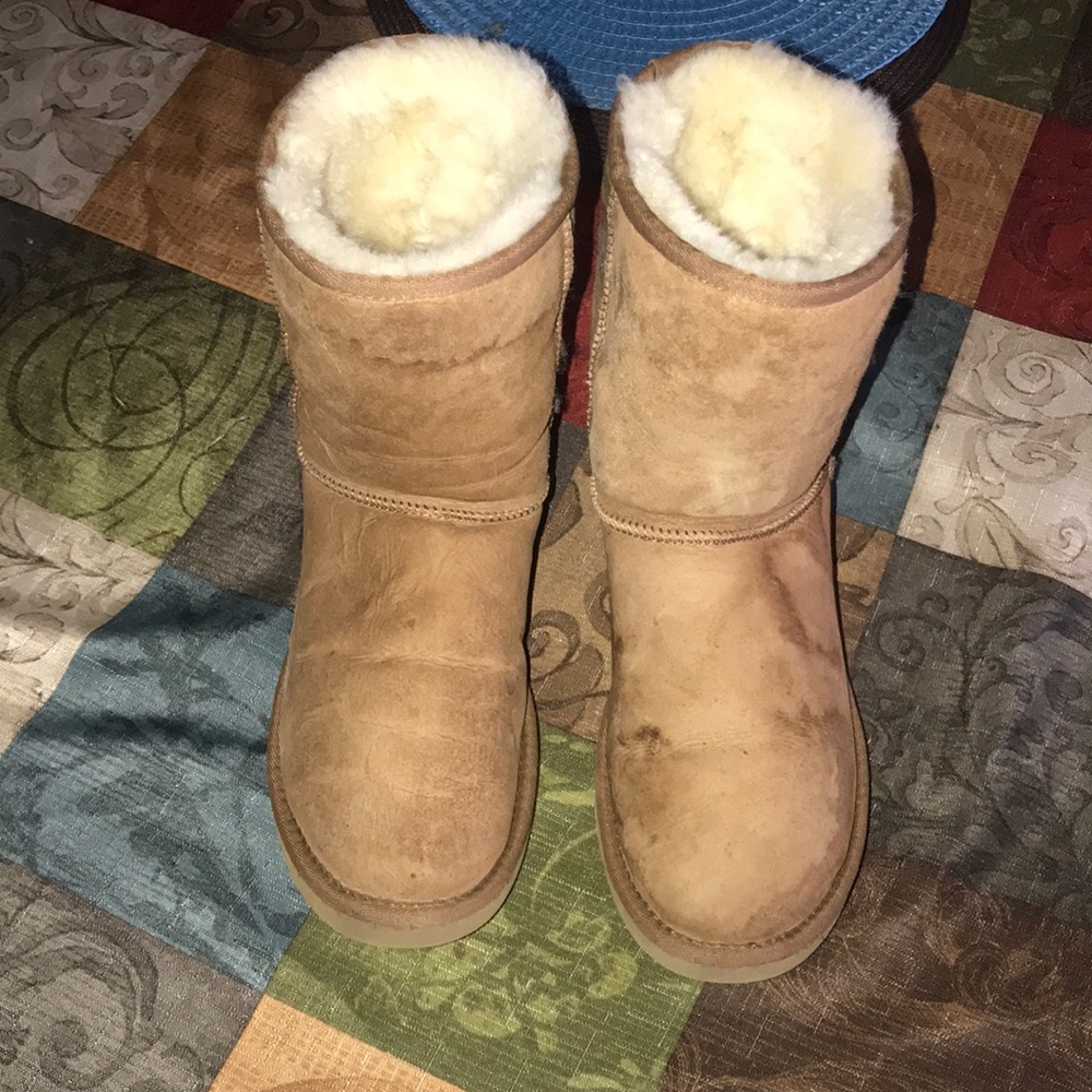 Chestnut UGGs